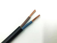 twin core electrical cable